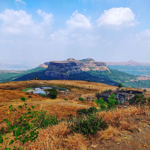 View