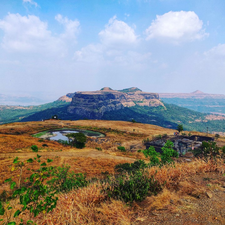 View