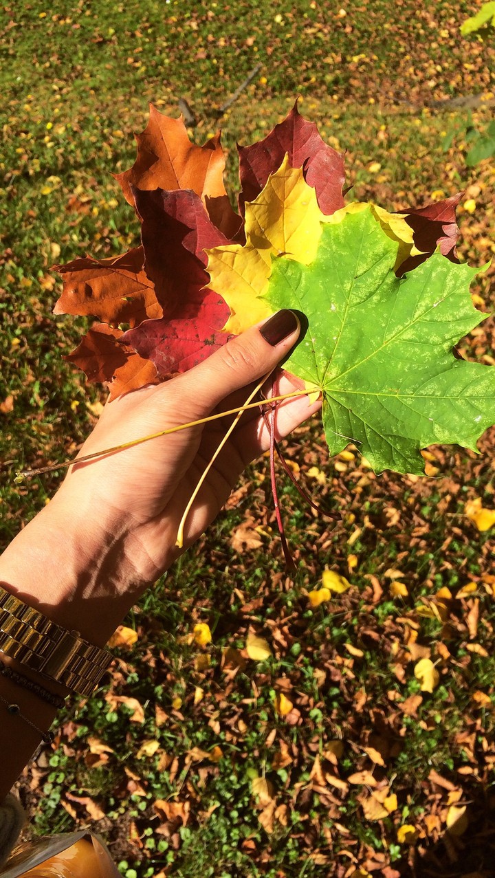fall