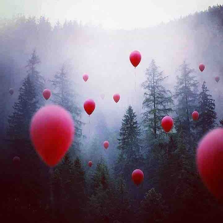 red ballons ower the forest