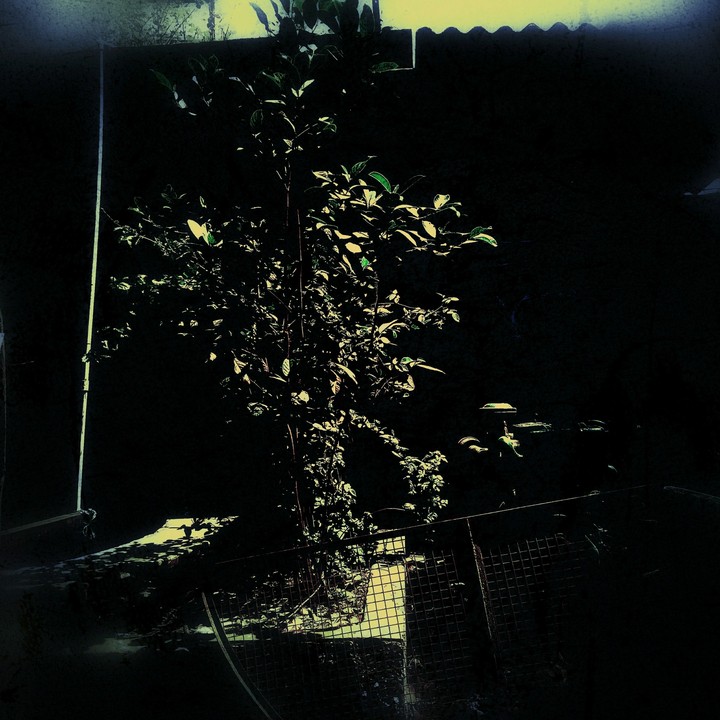 dark side