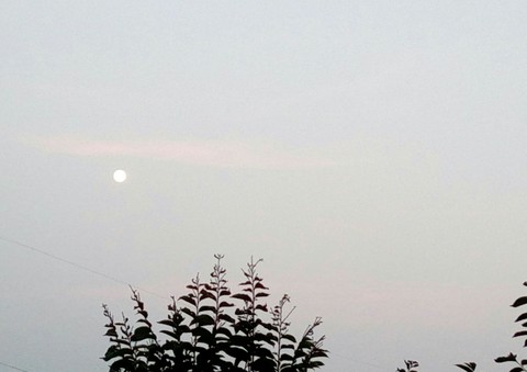 full moon