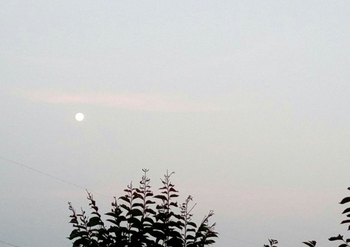 full moon