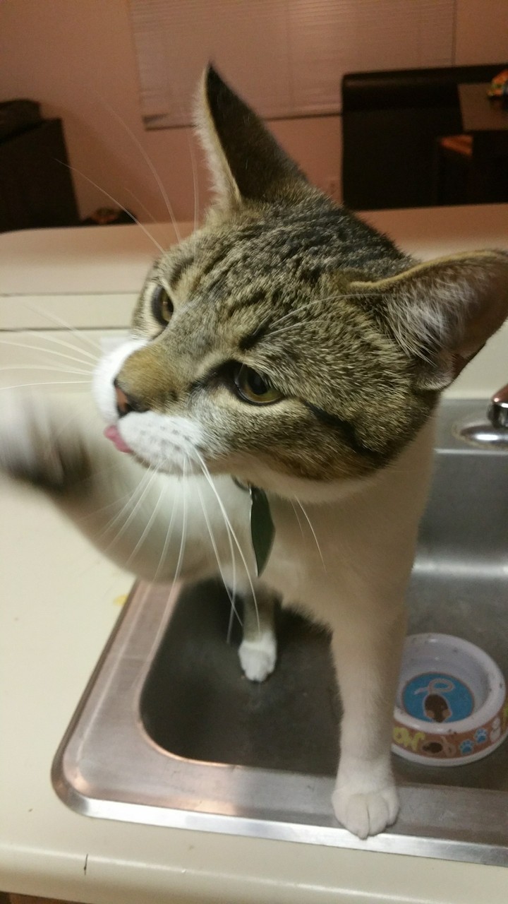 water please