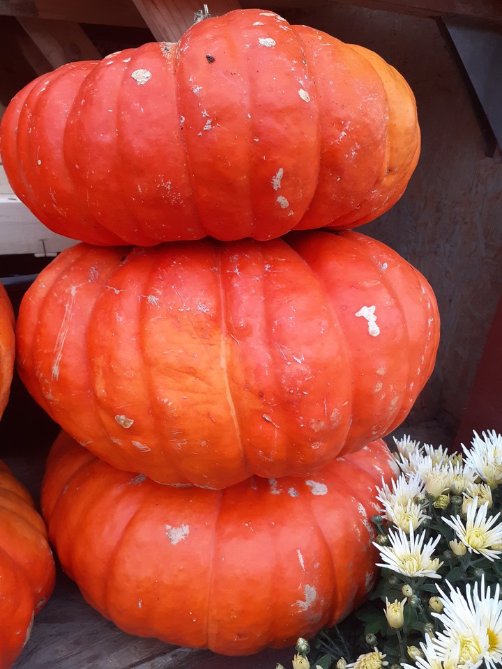 Pumpkins