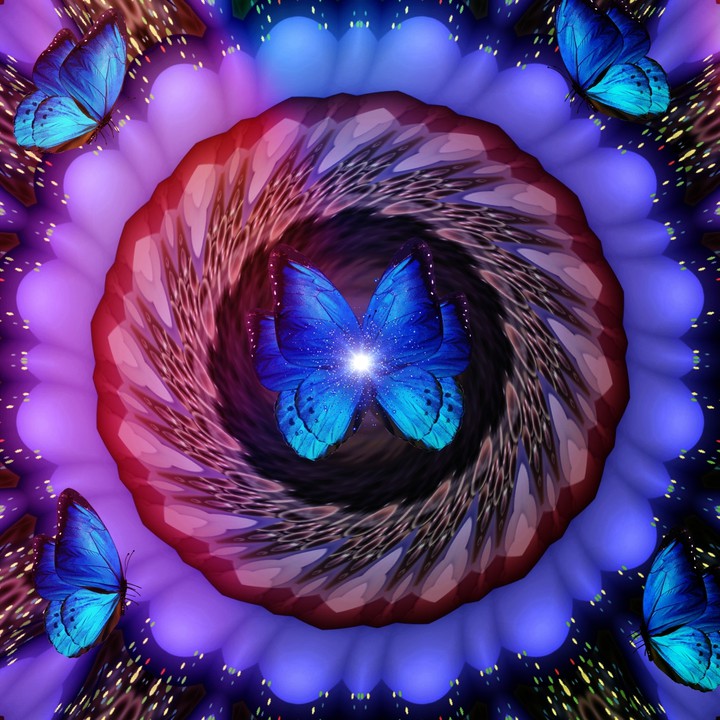 Blaue Schmetterlinge