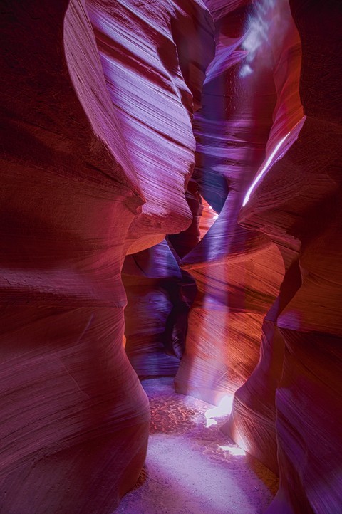 pink, narrows Hintergrundbilder