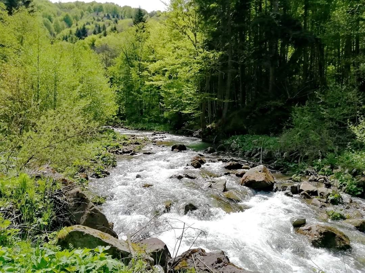 river