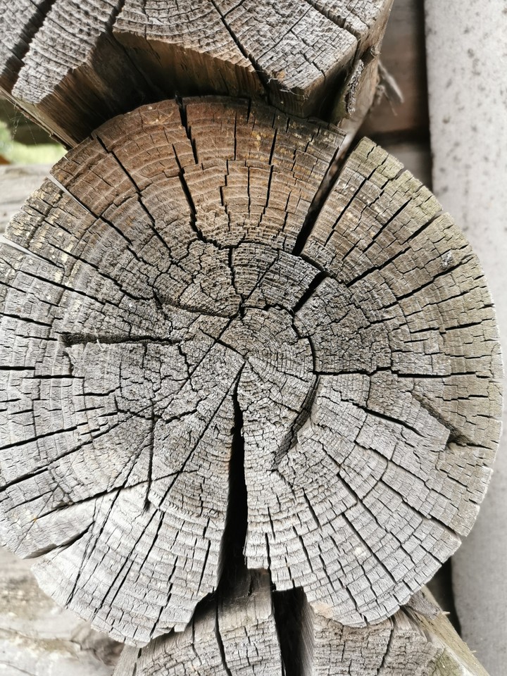 Wood