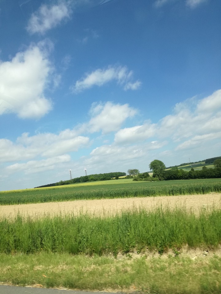 Summer Day