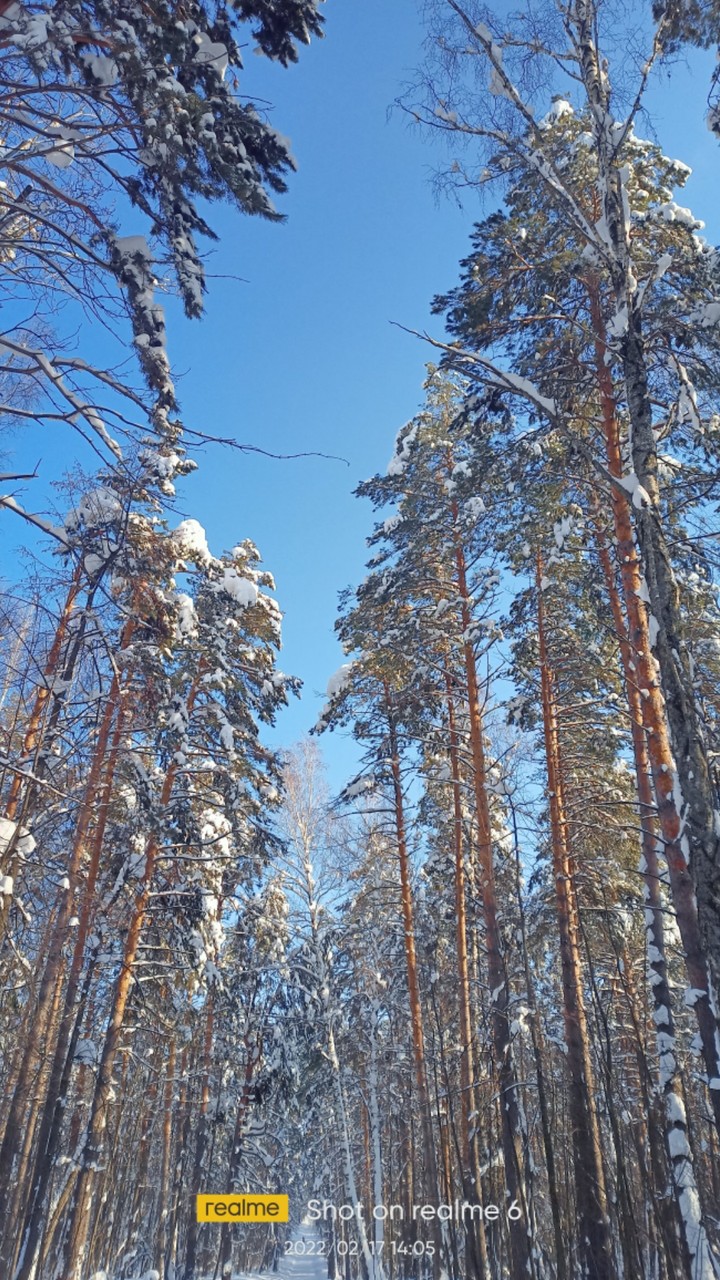 л