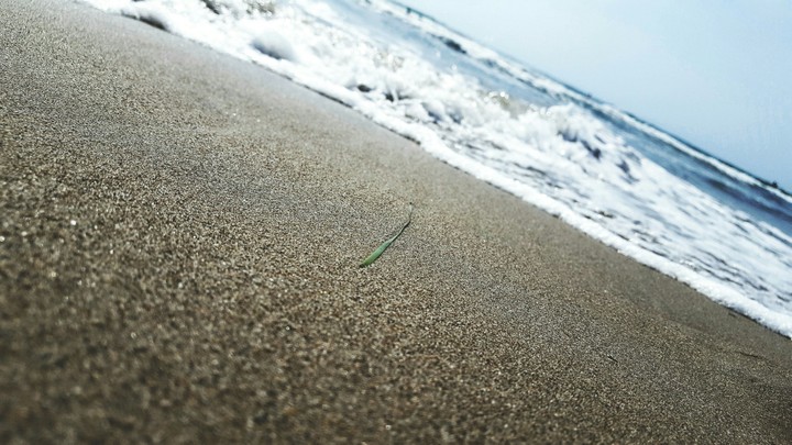 Sea