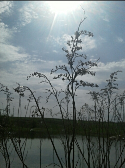 sky