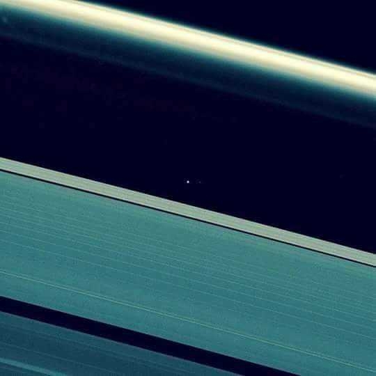Pale blue point