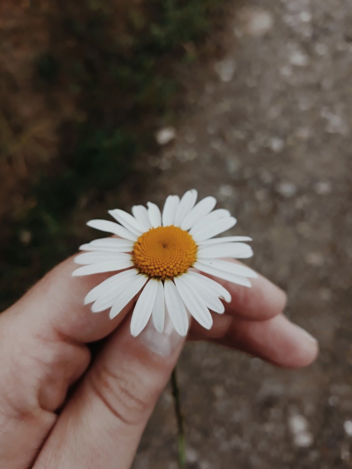 on