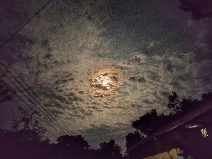The moonlit
