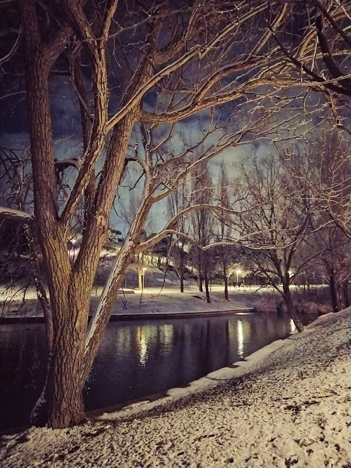 cold beauty