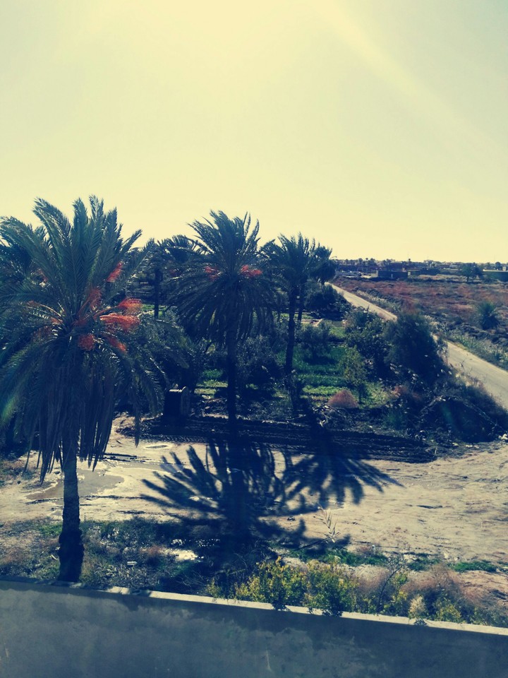 paysage