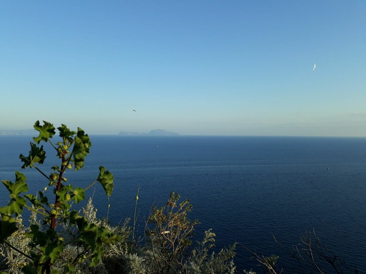 capri