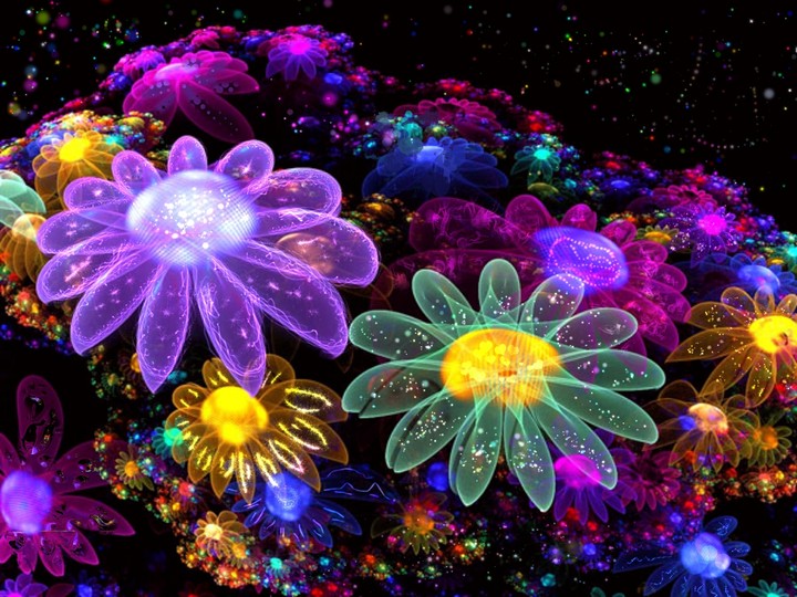 space flowers
