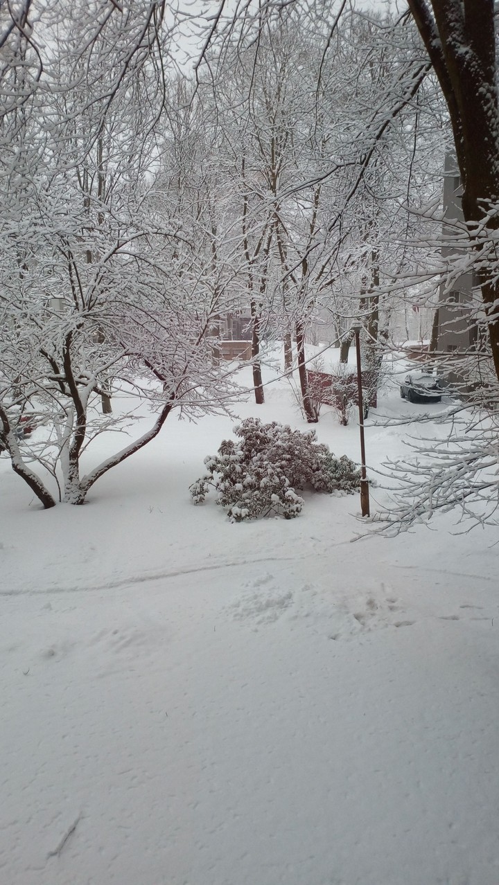 Winter.
