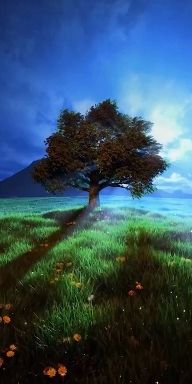 Nature.