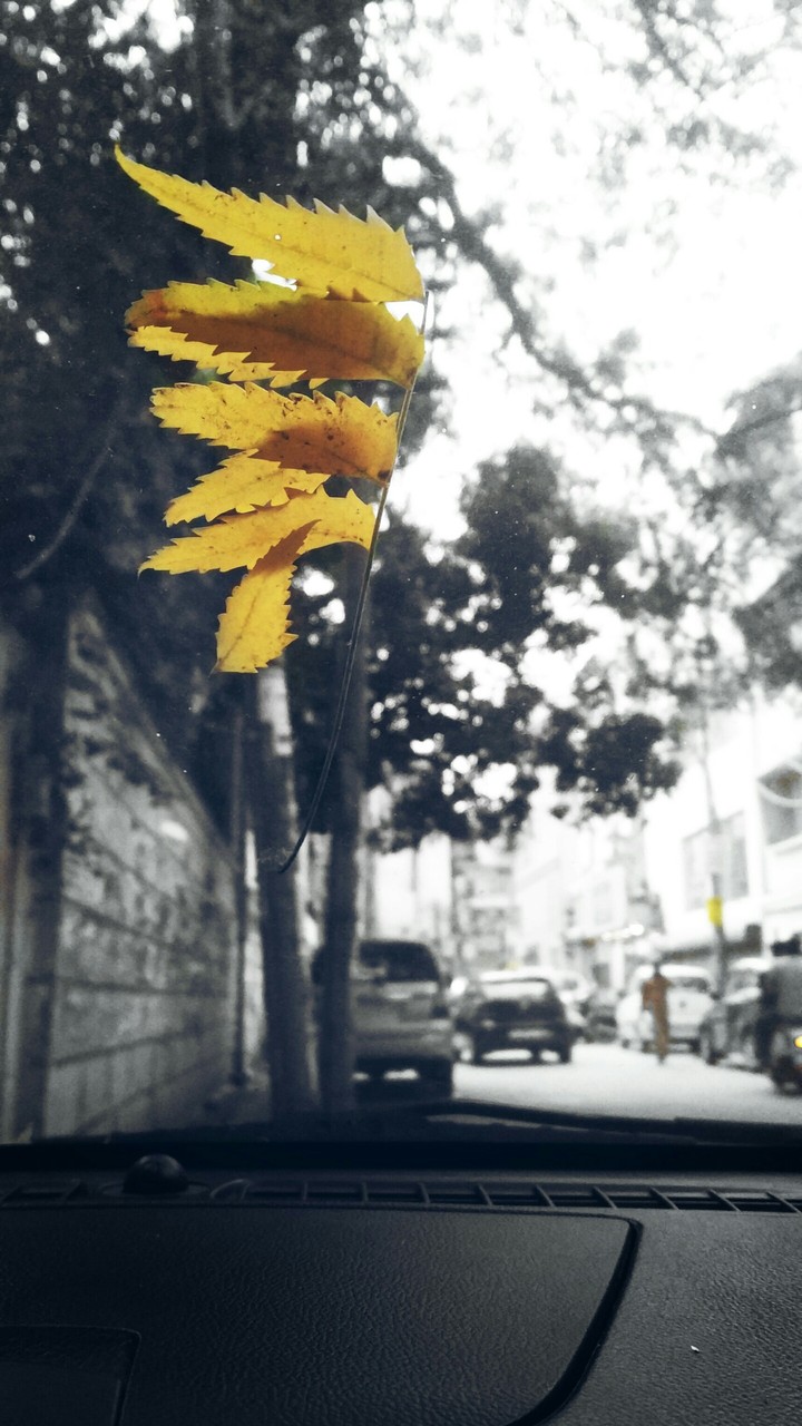 yellow