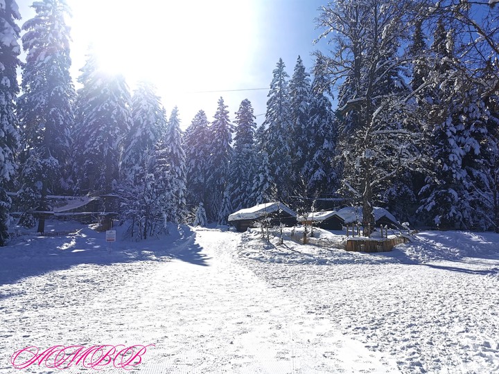 Du soleil, de la neige What else ?