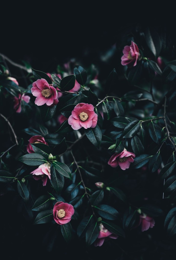 Rainy Day Spring