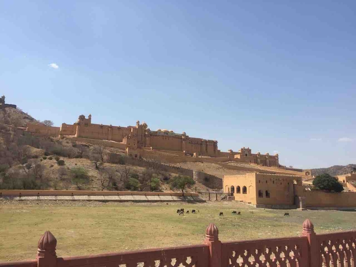 Amber Palace