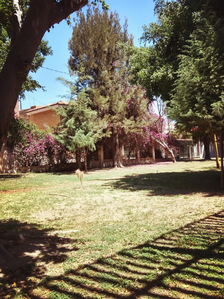 Zapopan