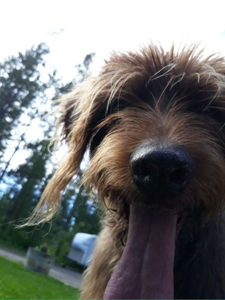otto