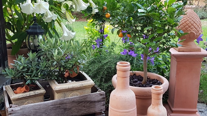 Summer Impression