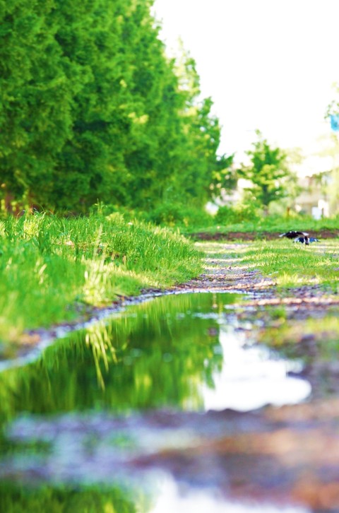 Ditch, stream wallpapers