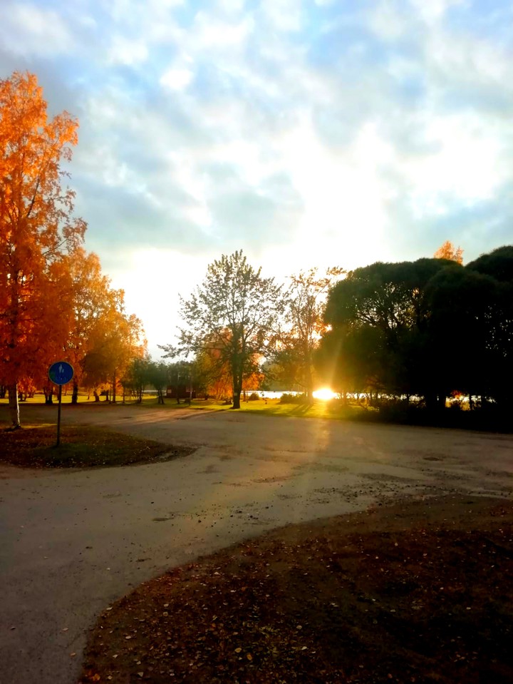 when the sun is peeking out of woods