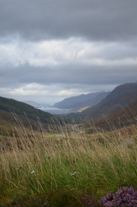 Loch Maree viewpoint