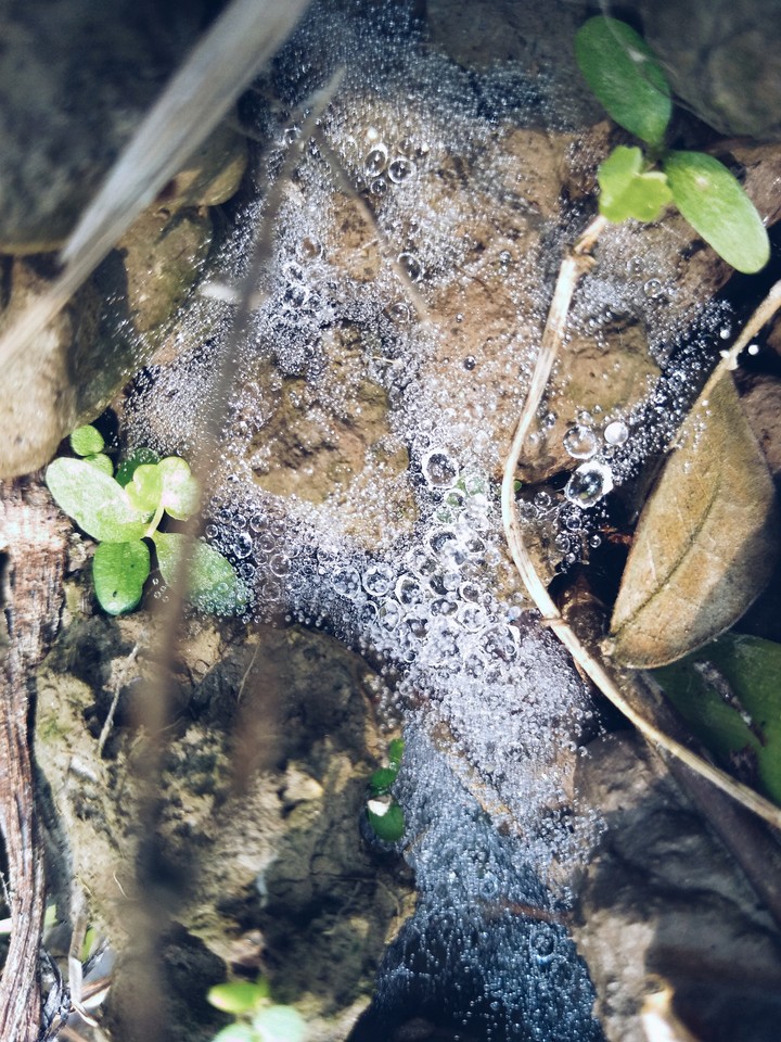 beauty of nature