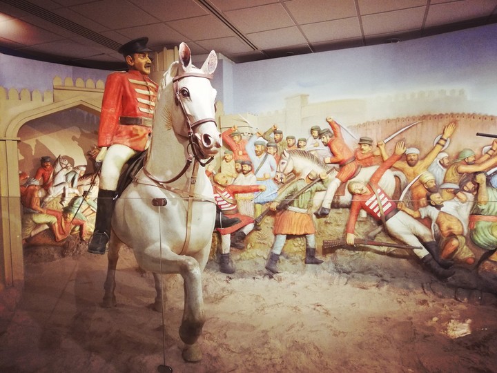horse