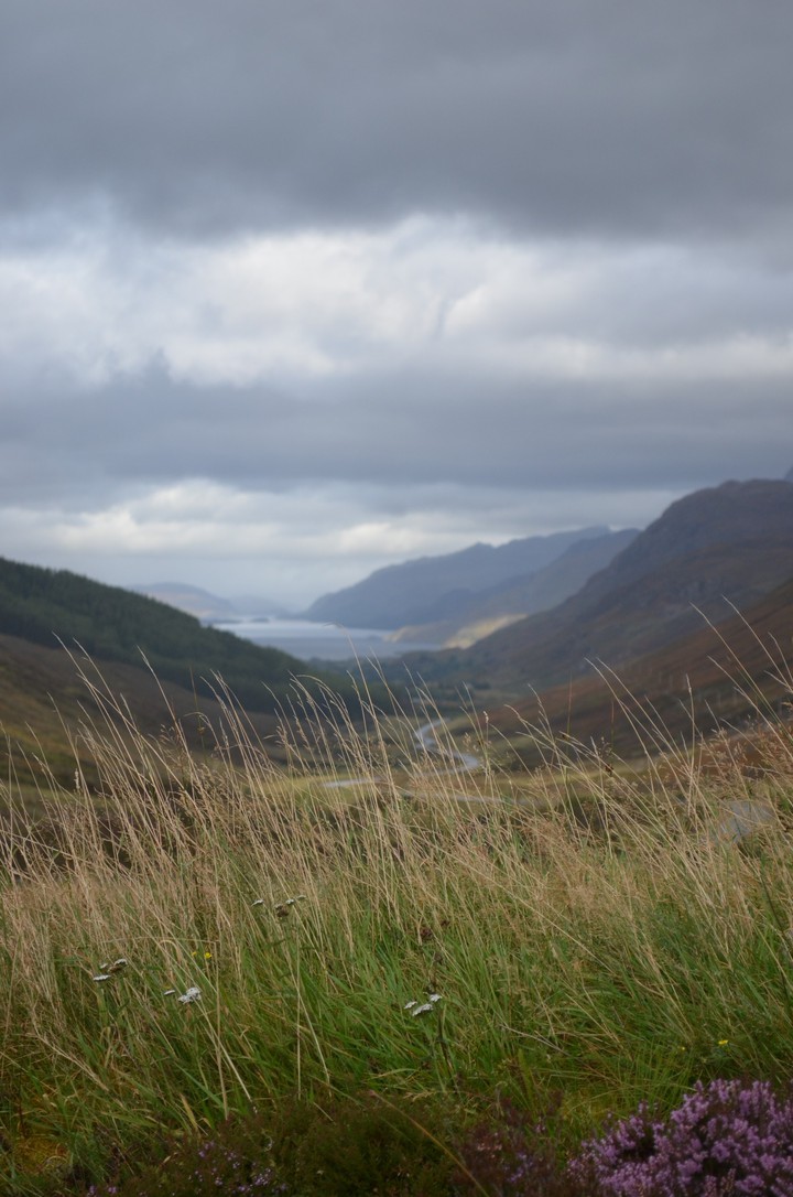 Loch Maree viewpoint