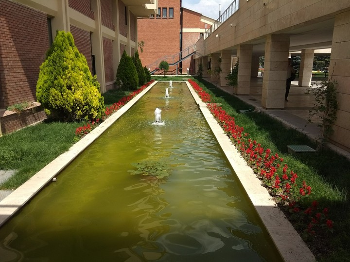 pool