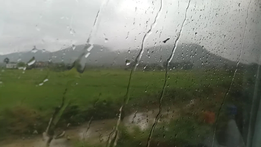 Rainy Day