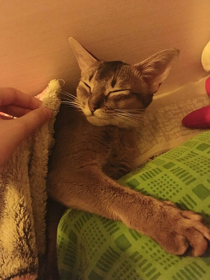 Cute <3