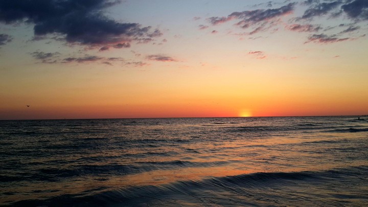 sarasota beach florida.