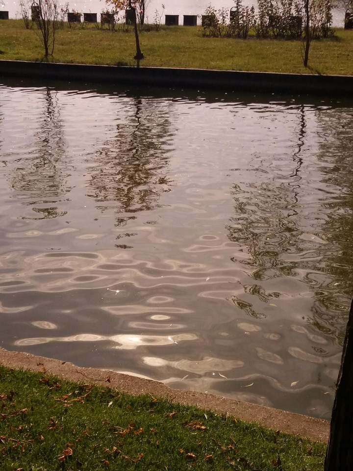 #lake #waves #park