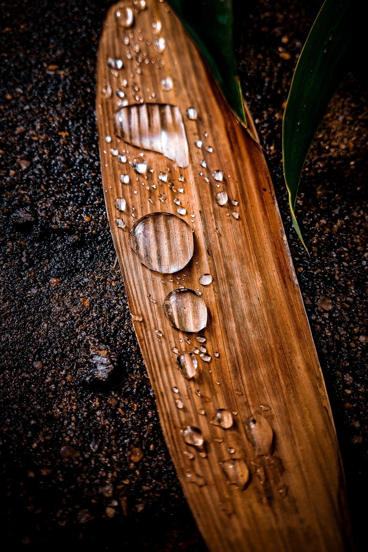 Drops