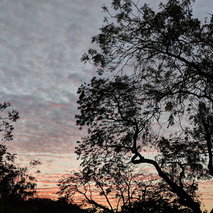 #cloud