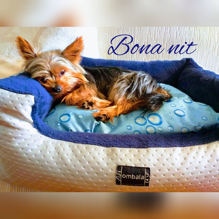 dulces sueños