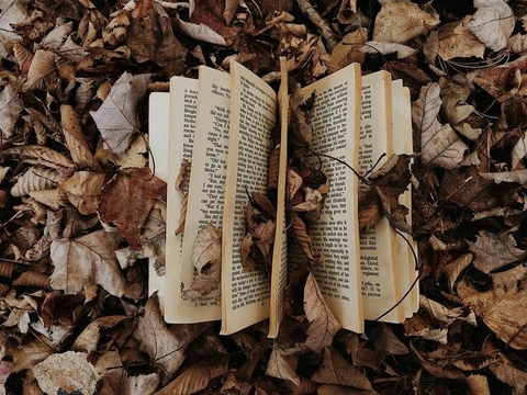 Autumn❤