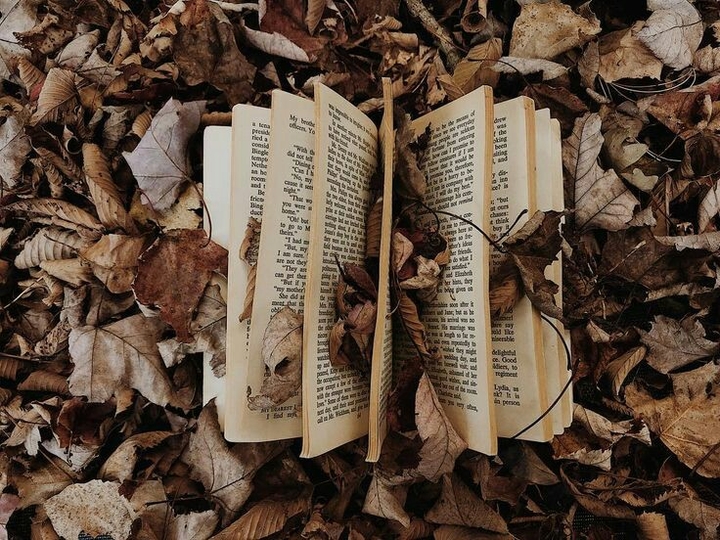 Autumn❤
