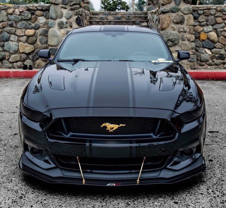 Mustang